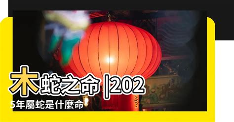 2025年五行屬什麼